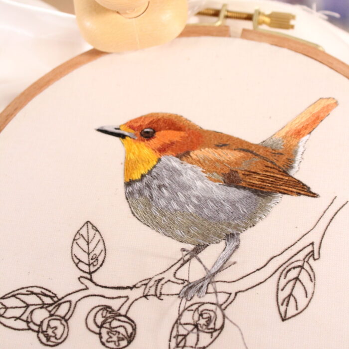 Robin Embroidery Thread Painting Pattern - Image 2