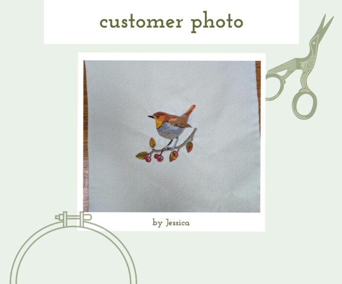 Robin Embroidery Thread Painting Pattern - Image 4