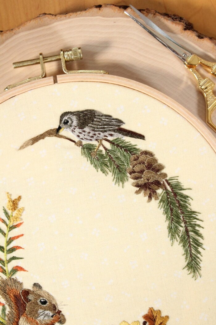 closeup of a bird perched on a pine branch