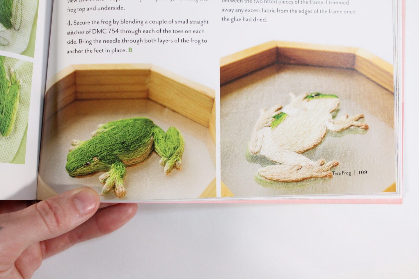 a stumpwork tree frog embroidery featured in Stumpwork Studio