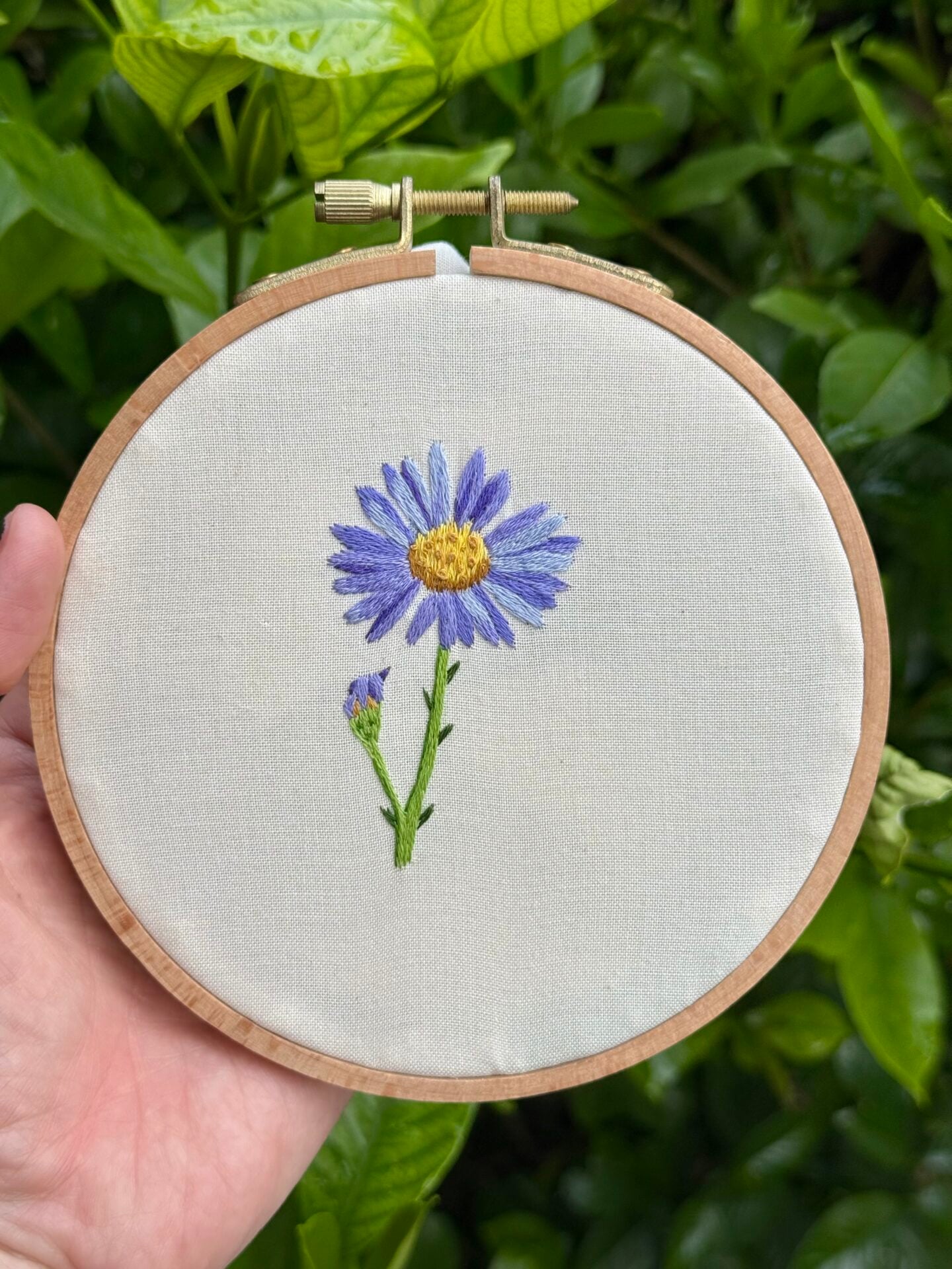 hand holding an embroidery hoop with off white fabric embellished with a realistic looking embroidery of a purple aster flower