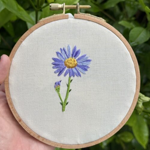 hand holding an embroidery hoop with off white fabric embellished with a realistic looking embroidery of a purple aster flower